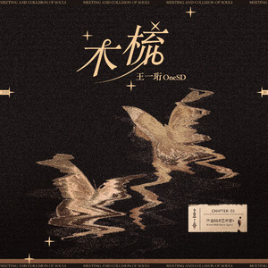 伊人久久综合视频
